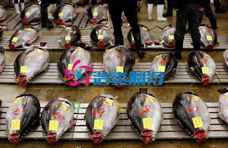 六玄网132432制冷,金枪鱼冷库,超低温冷冻库