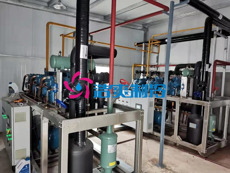 六玄网132432制冷，净菜加工冷藏库