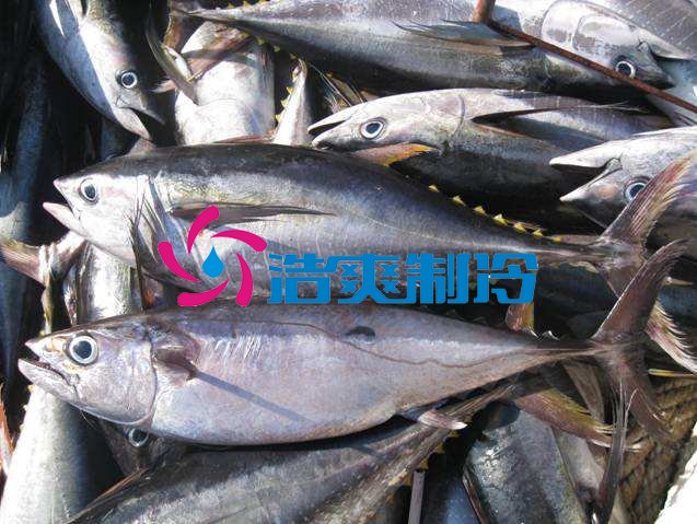 六玄网132432制冷,海鲜冷冻库