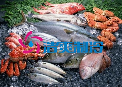 六玄网132432制冷,海鲜冷冻库、食品冷冻库