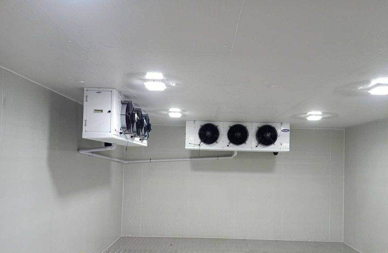 六玄网132432制冷，板栗保鲜冷库