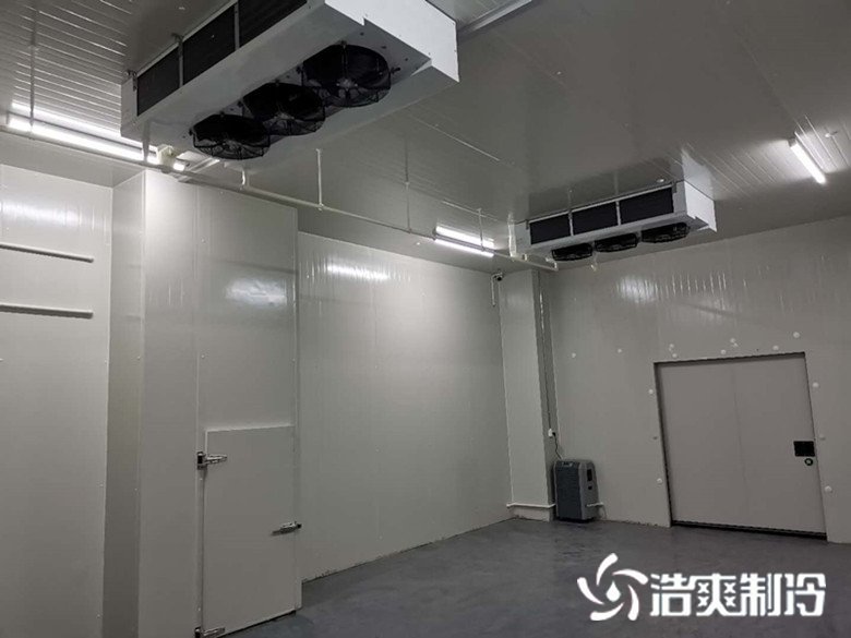 仓储保鲜冷链物流冷库